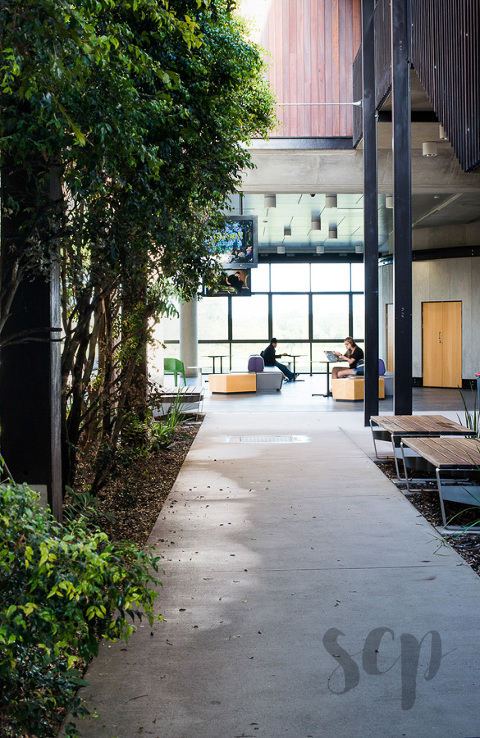 sunshine coast university architectural photography & lifestyle photography forBrewster Hjorth Architects