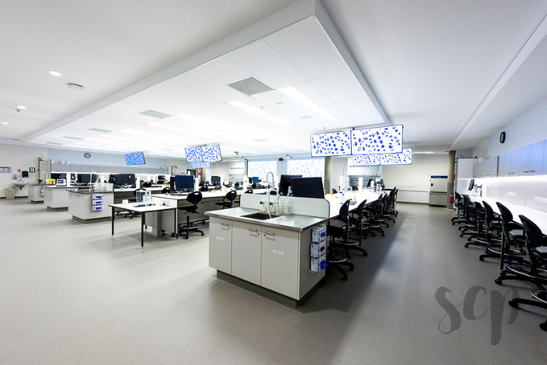 sunshine coast university architectural photography & lifestyle photography forBrewster Hjorth Architects