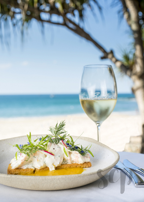 food photographer, food photography, raw vegan food and lifestyle photos, event photographer, event photographer maroochdore event photographer maroochdore, event photographer noosa, corporate portrait photographer, corporate portrait photographer noosa, portraits Sunshine coast, 