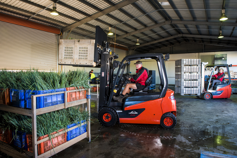 Advertising photographer sunshine coast, advertising photography Phill Jackson Eumundi, Business profile case study photography sunshine coast, advertising photoshoot for Linde forklift Australia