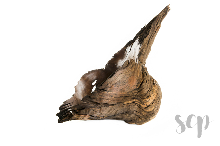 Studio product photography art photography burl photography, sunshine coast studio photographer sunshine coast studio product photography Maroochydore studio photographer